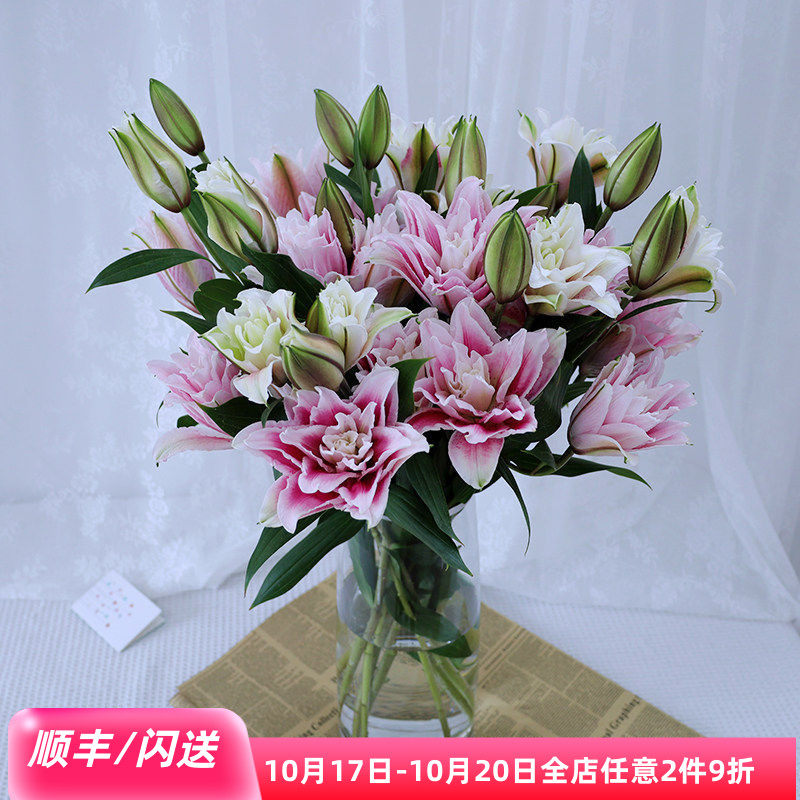 重瓣百合花白色粉色红色北京直批