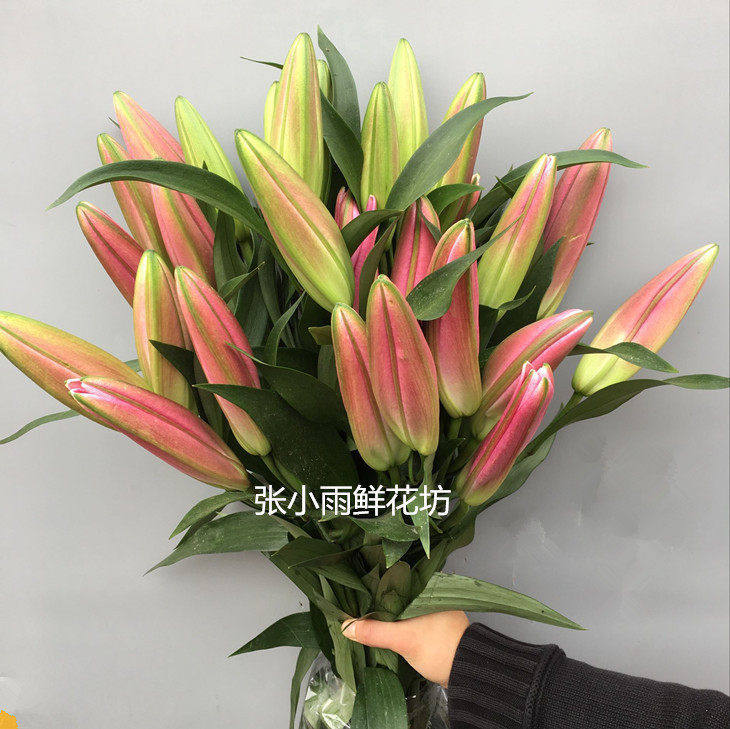 香水百合红色大朵10枝多头鲜花