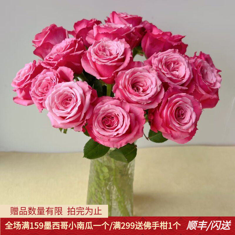 小红梅玫瑰新鲜大朵A级瓶插轻奢