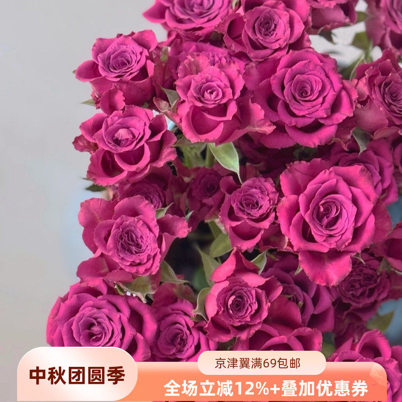 新鲜蓝莓玫瑰鲜切花10枝同城速递