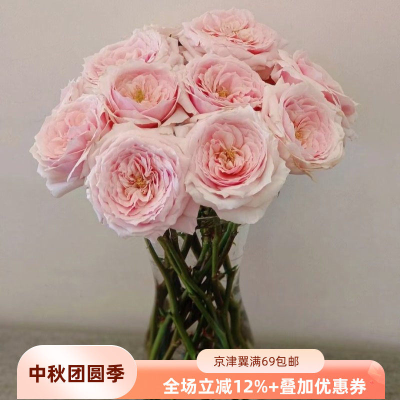 奥斯汀玫瑰鲜切花同城速递