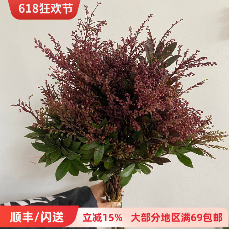 鲜花配花 山里红鲜切花 木本枝条 花期长 DIY花艺 植物同城速递