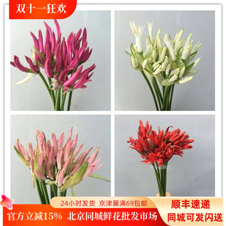 10枝石蒜彼岸花婚礼手捧花名贵花