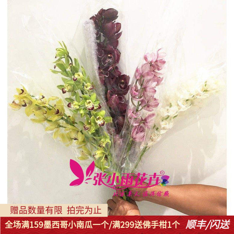 多颜色花蕙兰北京鲜花直送高1枝