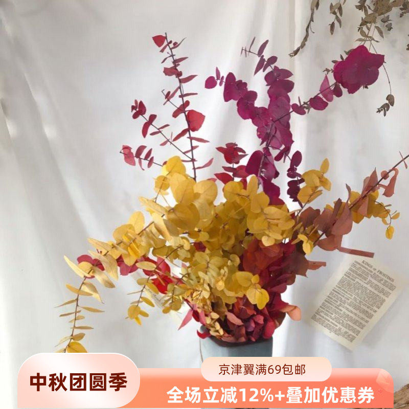荷兰进口彩色尤加利叶 吸色叶材可做干花 高端鲜花配叶 花束礼盒
