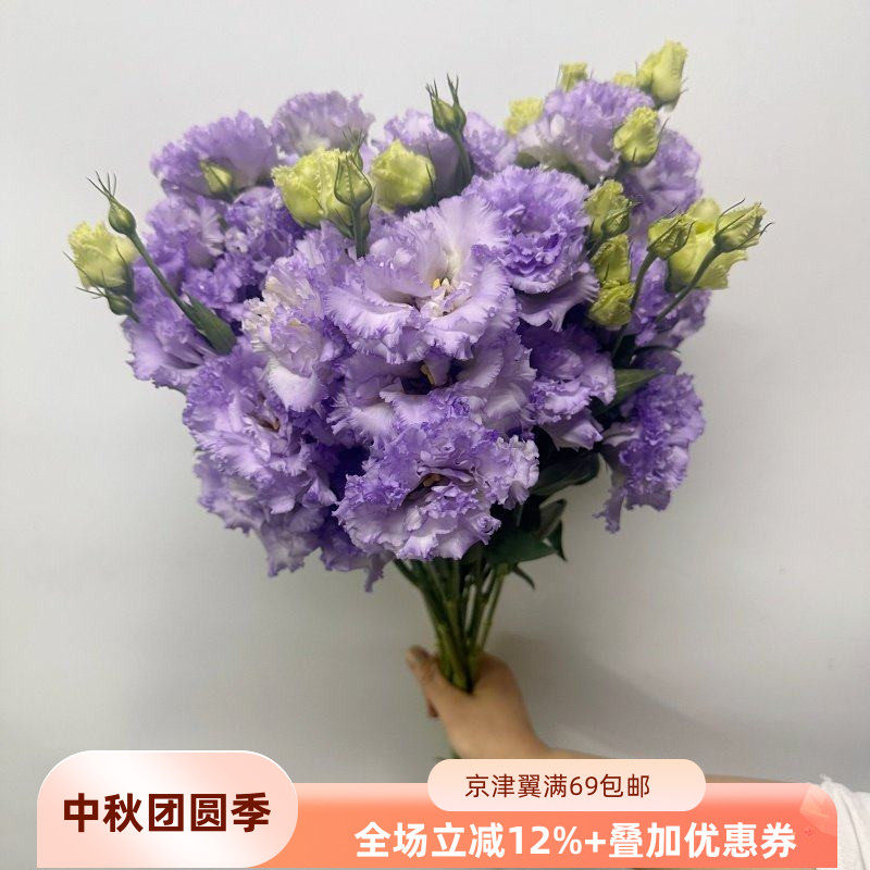 紫色波浪洋桔梗龙胆花多色选择