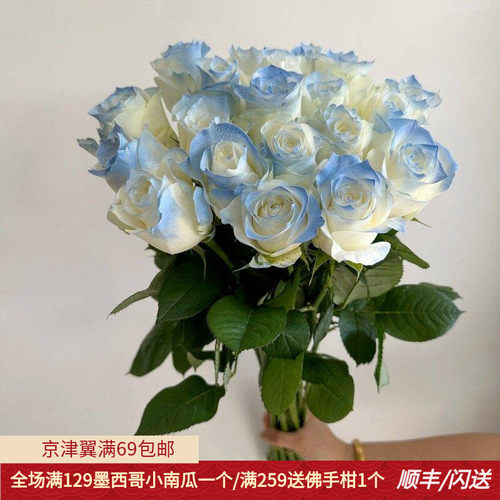 碎冰蓝玫瑰清新柔美鲜切花染色