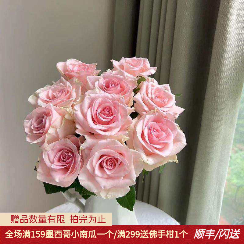 粉爱神玫瑰鲜切花瓶插花生日情人