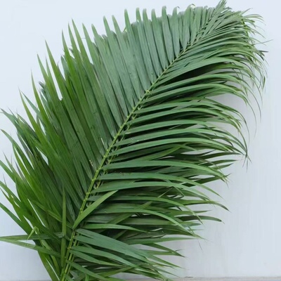 散尾叶花篮插花婚礼布置