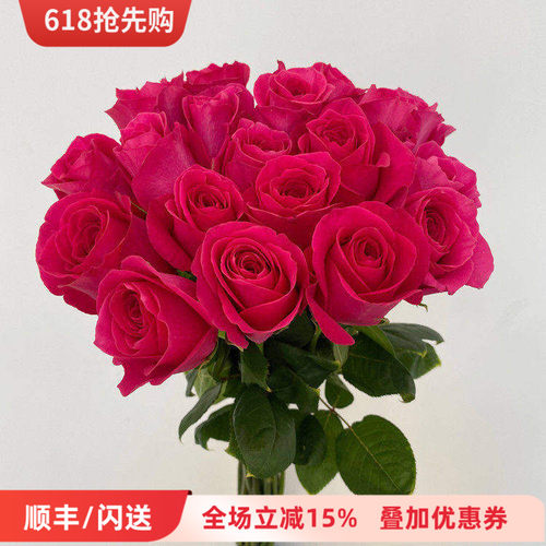A级弗洛伊德玫瑰鲜切花同城速递