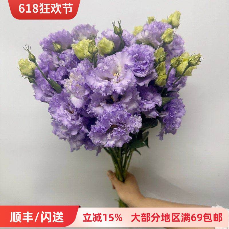 紫色波浪洋桔梗鲜切花 龙胆一扎8枝北京同城直送水瓶插花花艺美学