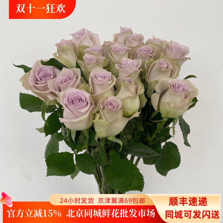 藕荷色玫瑰花海洋之谜家用鲜花