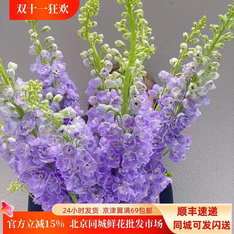 新鲜花卉浅蓝色美感婚礼鲜切花