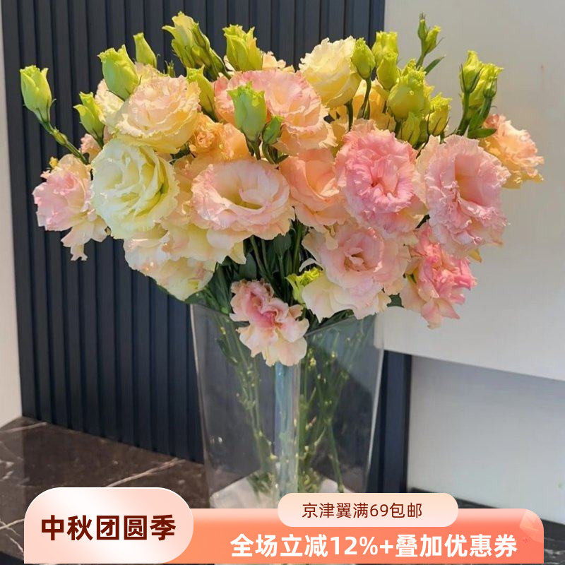 新鲜绿色龙胆洋桔梗鲜花10枝