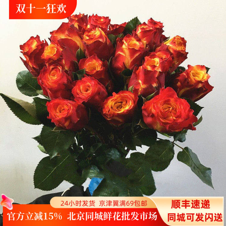 好心情国产火焰大头粗杆周花玫瑰