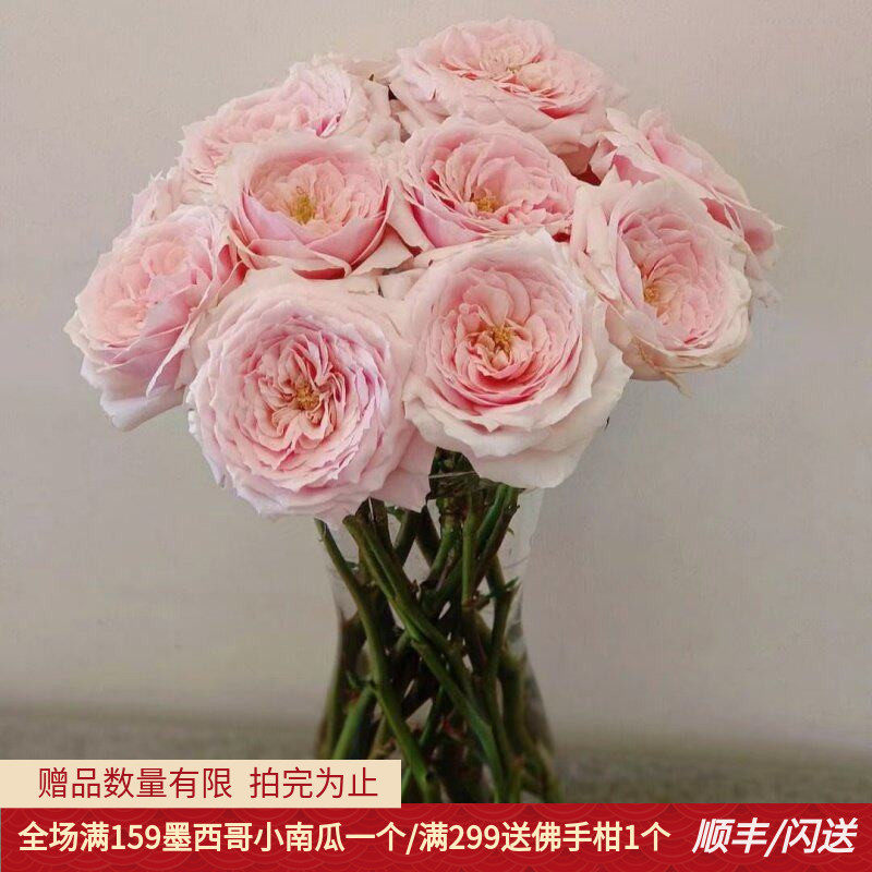 奥斯汀玫瑰鲜切花同城速递