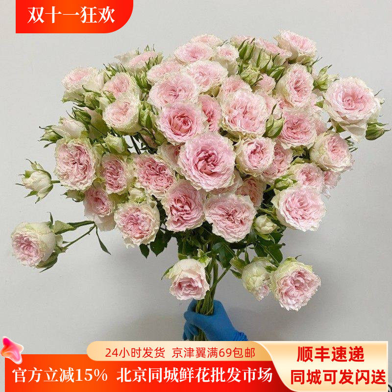 情迷罗拉多头玫瑰 蔷薇鲜切花 波浪纹花瓣  家用装饰水养周花观赏