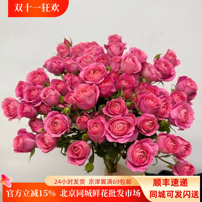 胭脂公主多头玫瑰蔷薇水养花束