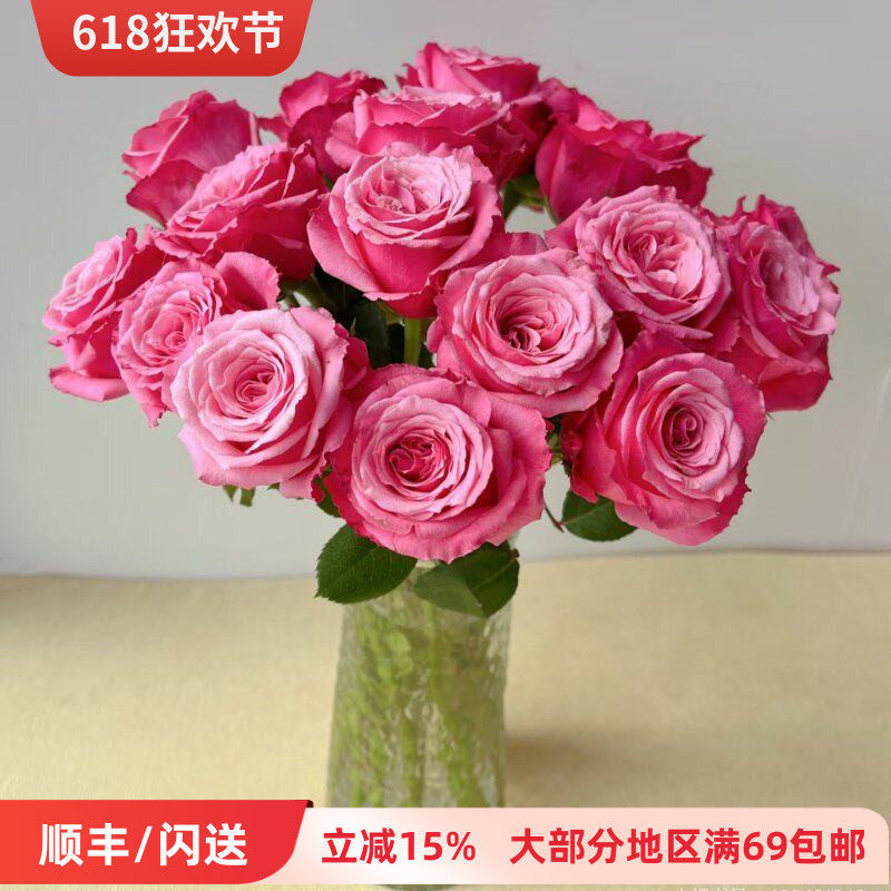 新品 小红梅玫瑰 日常瓶插 新鲜大朵喜庆 A级 北京花卉市场直批