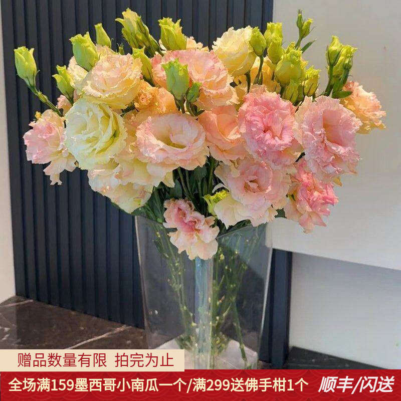新鲜绿色龙胆洋桔梗鲜花10枝