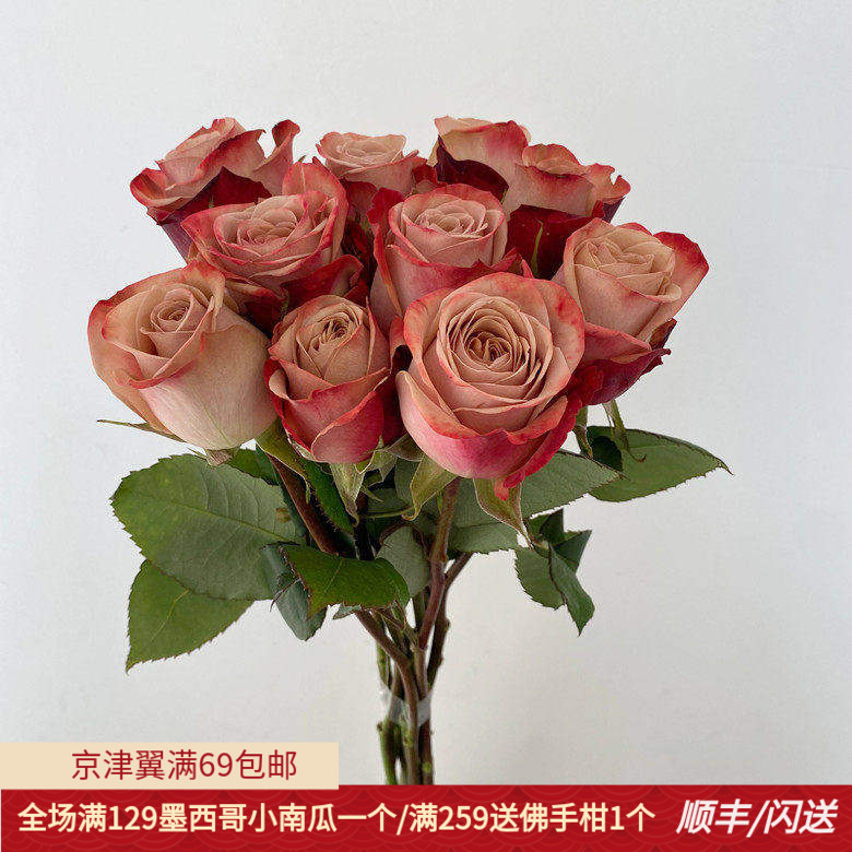 复古系20朵卡布奇诺玫瑰花婚礼