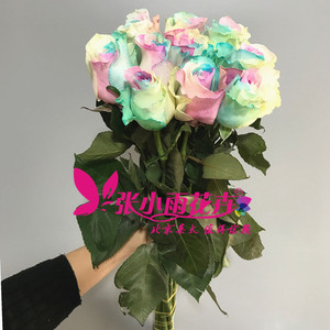 品厄瓜多尔玫瑰 大头粗杆花期长 多款颜色选择 情人节礼盒花束 10