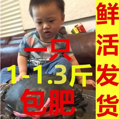 鲜活红膏蟹天然青蟹螃蟹面包蟹