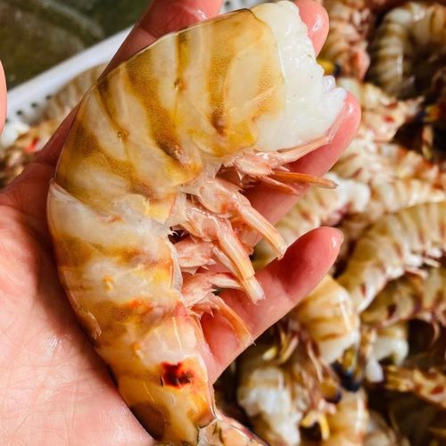 斑节虾仁九节虾花虾