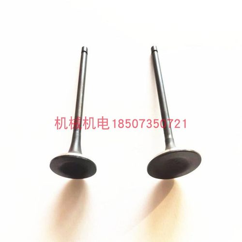 大疆D12000IE/T40发电机进排气门