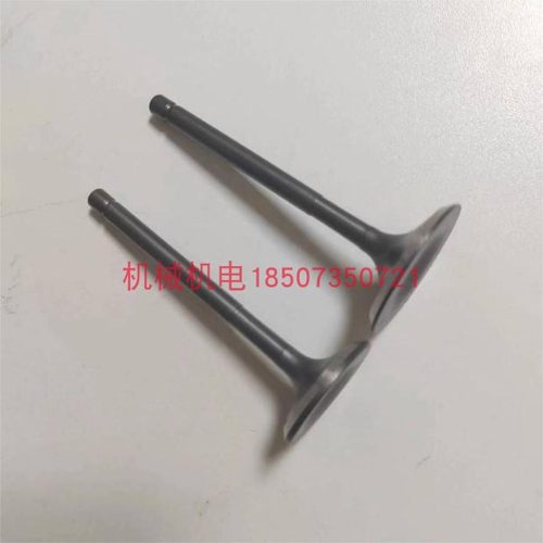 大疆T40发电机进排气门