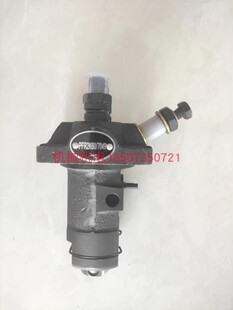 科勒柴油机KD477 隆巴蒂尼柴油机12LD477高压油泵 2喷油泵高压泵