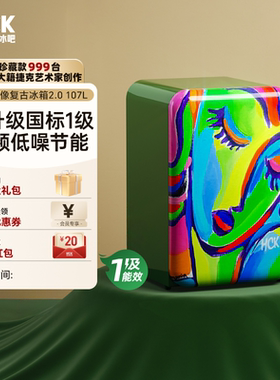HCK哈士奇小吐司2.0一级能效复古冰箱家用客厅少女画像艺术设计