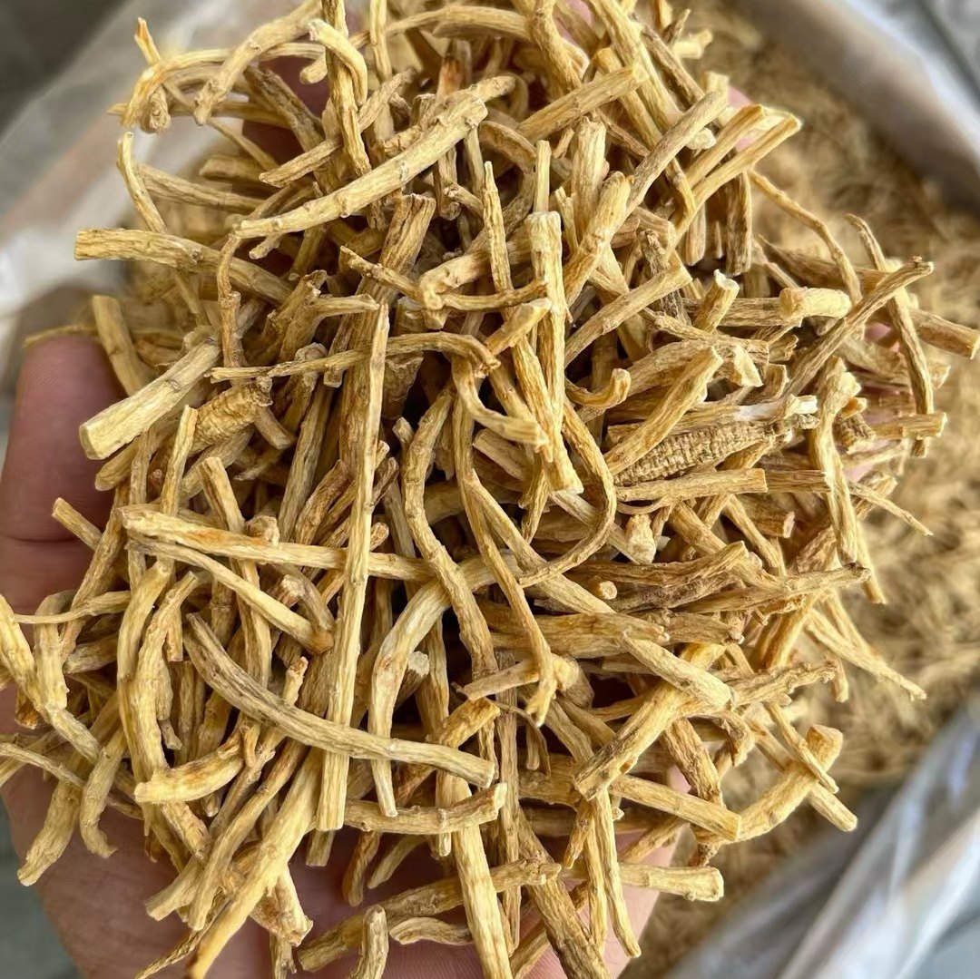 西洋参须批一500g西洋参整枝粒头花旗参段切片含片