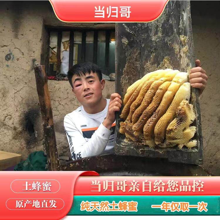 甘农哥正宗农家土蜂蜜650克罐装自然结晶无熏染不喂养蜜蜂