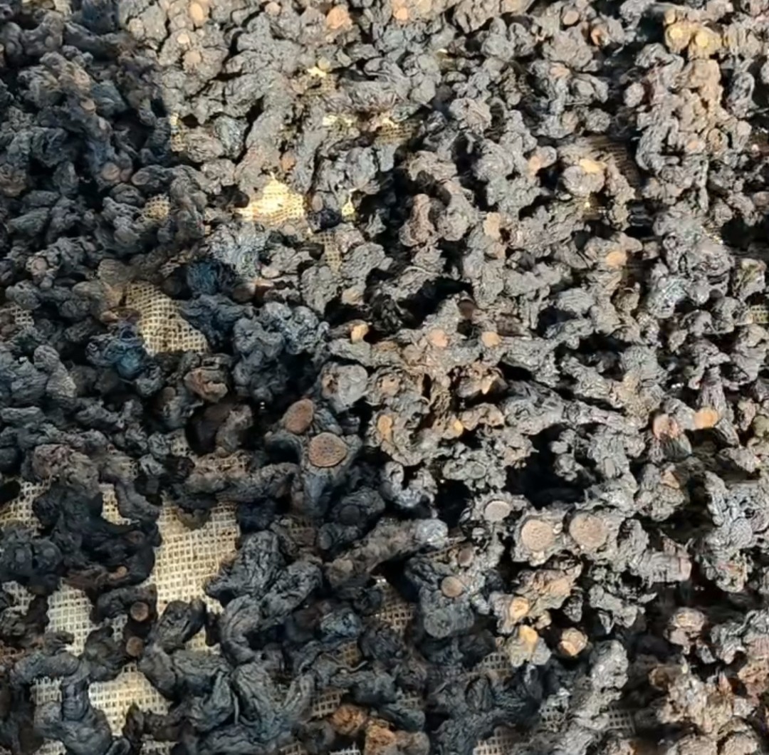 湖南贵州野生黄精蒸晒黄精农产品甘甜非家种包邮古法柴火九蒸九晒