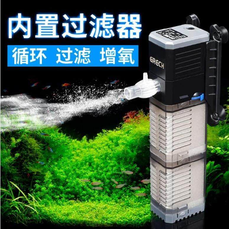 水槽金鱼价格 水槽金鱼图片 星期三