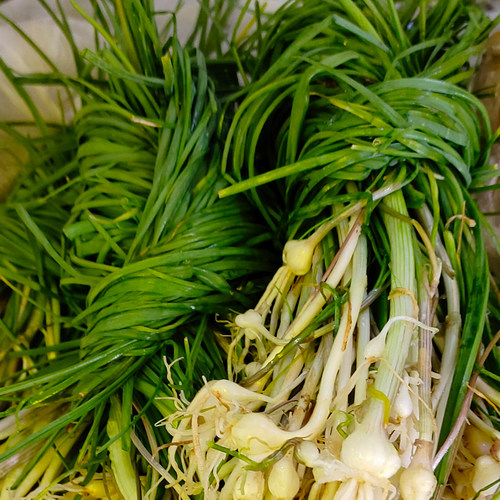 野生胡葱野葱200g现挖现发