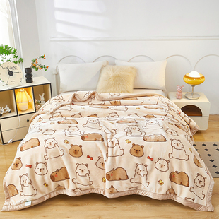 秋冬季拉舍尔毛毯盖毯被子可爱卡通风双层加厚不掉毛学生宿舍单人