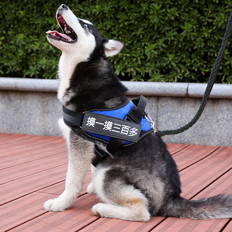 网友分享在meiguo.com的图片