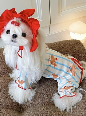 狗狗衣服护肚衣防脏薄款小型犬泰迪比熊宠物包肚秋冬四脚小狗睡衣