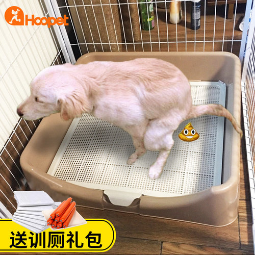 大狗专用高围栏厕所冲水便便神器