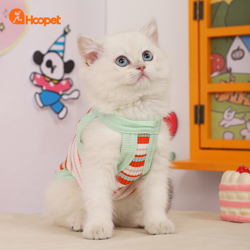 猫咪衣服防掉毛幼猫布偶银渐层吊带英短猫猫夏天小猫夏季薄款背心