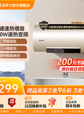 法罗力家用电热水器储水式杀菌变频智控恒温一级能效速热热水意彩