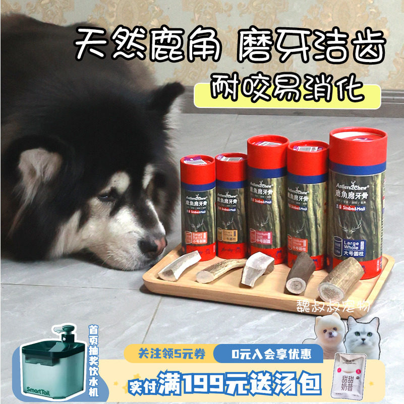 吉辛天然鹿角宠物洁齿狗狗磨牙棒