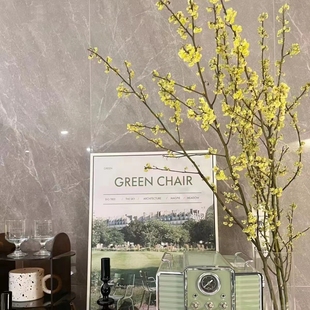 山姜子鲜切枝水培年宵花平替发财果山归来火棘果马醉木美男树吊钟