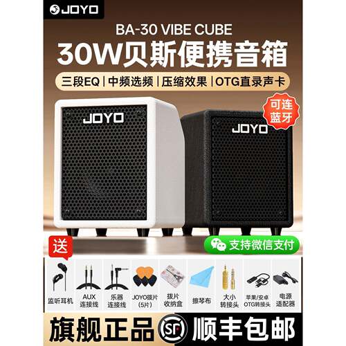 卓乐Ba-30低音音箱练习性能蓝牙内置录音便携式电低音专用音箱