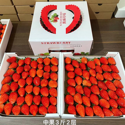 上海纯甜无酸章姬草莓奶油草莓