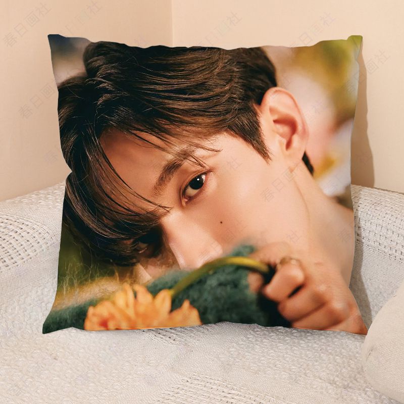 DK李硕珉抱枕十七次团周边大壳