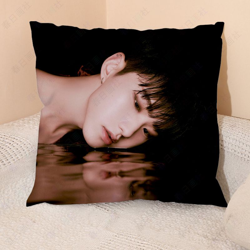 HOSHI抱枕次团周边权顺荣茸茸