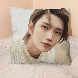 洪知秀方形抱枕JOSHUA周边小卡次团同款靠枕头克拉应援礼物靠垫套